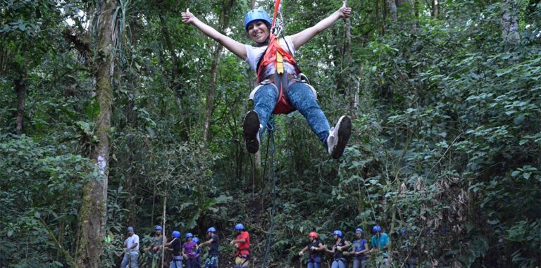 extreme-forest-park