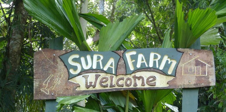 finca-sura