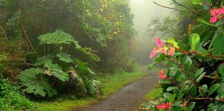 Los Mejores Lugares de Montaña de Costa Rica