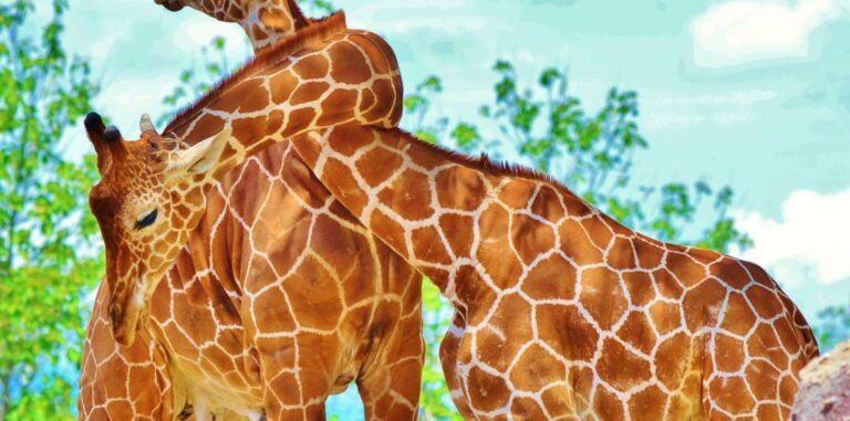 15 actividades populares que hacer en Liberia, Costa Rica