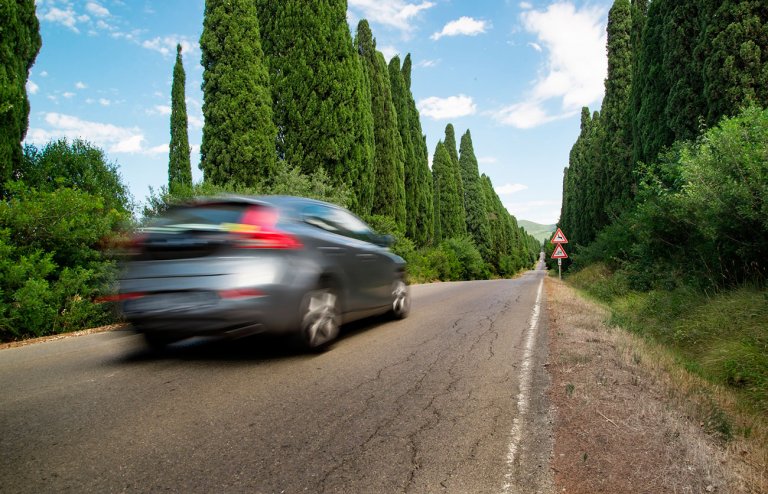 Lo mejor del sector automotríz 2019