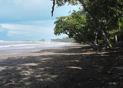 PLAYA DOMINICALITO