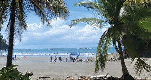 Explorando el Pacífico Sur de Costa Rica: Un Paraíso Natural