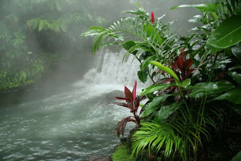 Soak up the Wonders of Arenal Volcano, Costa Rica