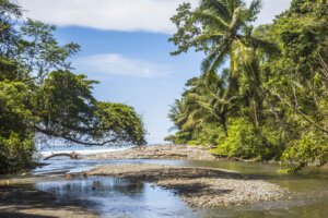 glamping puerto viejo