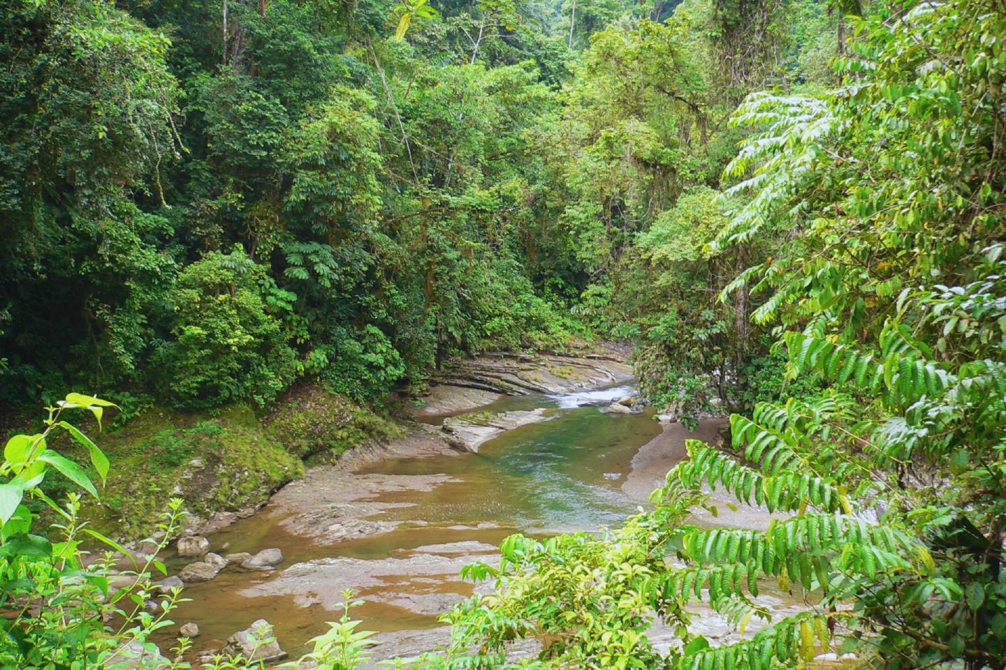 River inside a national park on the Osa Peninsula Costa Rica