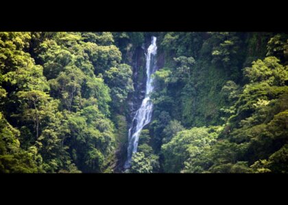 Cascada tropical en la selva cerca de Palmar Norte Costa Rica